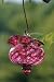 Pet Supplies : Charisma HBF Wine Red