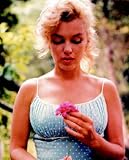 Marilyn Monroe (Flower, Blue Dress) Art Poster Print - 24 X 36