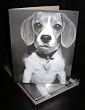 Talk to the Paw! Greeting Cards - Dog's love
