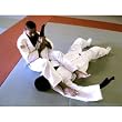 Bubba II Grappling Dummy