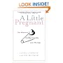 A Little Pregnant: Our Memoir of Fertility, Infertility, and a Marriage