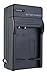 AC/DC travel digital video battery charger
