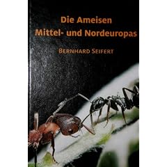 Ameisen Mittel- und Nordeuropas