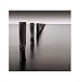 Seven Birds by Michael Levin poster print,15.8 in. x 15.8 in.