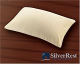 Travel Chip Pillow By SilverRest