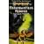 Fistandantilus Reborn (The Lost Gods)