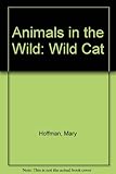 Wild cat