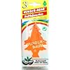 Wunderbaum Kokosnuss, 3-er Pack