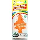 Wunderbaum Kokosnuss, 3-er Pack