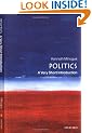 Politics: A Very Short Introduction (Very Short Introductions)