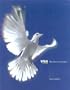 VISA : The Power of an Idea