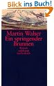 Ein springender Brunnen: Roman