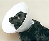 Buster Disposable Collar - 30 cm