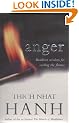 Anger: Buddhist Wisdom for Cooling the Flames