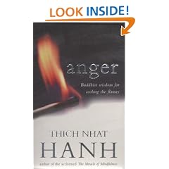 Anger: Buddhist Wisdom for Cooling the Flames