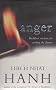 Anger: Buddhist Wisdom for Cooling the Flames