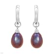 Earrings With Genuine 7.0mm Freshwater Pearls Beautifully Designed in 14K White Gold Length 25mm