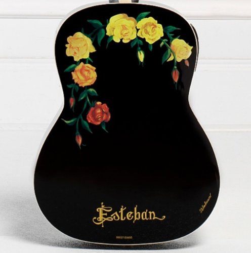 Esteban Spanish Rosas Classical Acoustic Electric Guitar Package w
