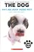 The Dog: Why Are Dogs' Noses Wet?