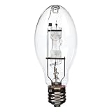 L-714 12 Pack 320 Light Bulb