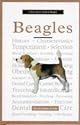 A New Owner's Guide to Beagles