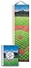 Toys : eeBoo Baseball Growth Chart