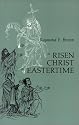A Risen Christ at Eastertime: Essays on the Gospel Narratives of the Resurrection