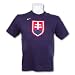 Team Slovakia IIHF Team Color Logo T-Shirt
