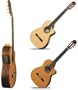 Aparicio Classical - electric/acoustic, Narrow Body, Cedar Top