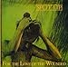 For the Love of the Wounded (+ Bonus Tra