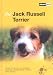 The Jack Russell Terrier: A Guide to Selection, Care, Nutrition, Upbringing, Training, Health, Breeding, Sports and Play (About Pets)