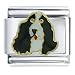 cocker_spaniel29cocker spaniel - Cocker Spaniel Black Italian Charm