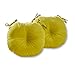 Greendale Home Fashions 15-Inch Round Indoor/Outdoor Bistro Chair Cushion, Kiwi, Set of 2