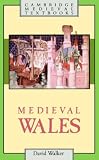 Medieval Wales (Cambridge Medieval Textbooks)