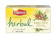 Lipton Herbal Tea, Ginger Twist, Tea Bags, 20-Count Boxes (Pack of 6)