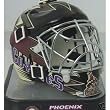 Phoenix Coyotes Mini Goalie Mask