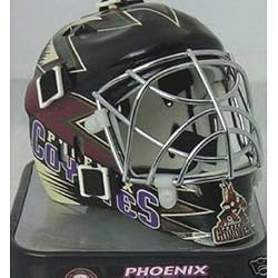 Phoenix Coyotes Mini Goalie Mask