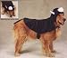 Pet Costume Cat Dog Large