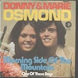 MORNING SIDE OF THE MOUNTAIN 7" (45)