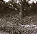 Shedding the Past