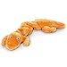 Zanies Bungies Gecko Dog Toys, Orange, 16