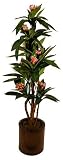 Review i-koncepts Ltd  / 5ft Plumeria (Frangipani) - Pink and White - Artificial Plant