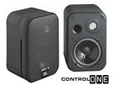 JBL Control One Lautsprecher Paar schwarz