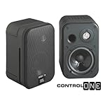 JBL Control One Lautsprecher Paar schwarz
