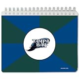 National Design Tampa Bay Devil Rays Team Photo Album