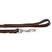 ITERY Dog Leash, Pet Durable Leash Strap for Puppy Pet Leash Rope 6-feet Long 1” Wide (Brown)