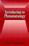Introduction to Phenomenology