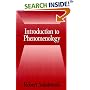 Introduction to Phenomenology