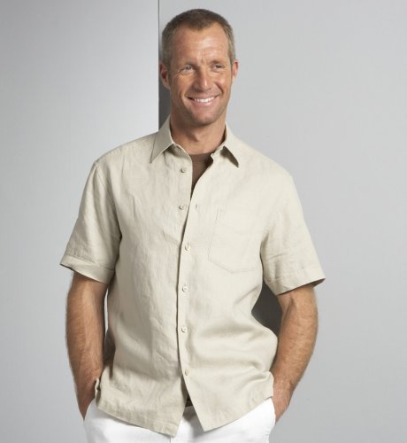 Big & Tall Blue Harbour Short Sleeve Linen Shirt