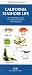 Book California Seashore Life: An Introduction to Familiar Plants and Animals (Pocket Naturalist Series)